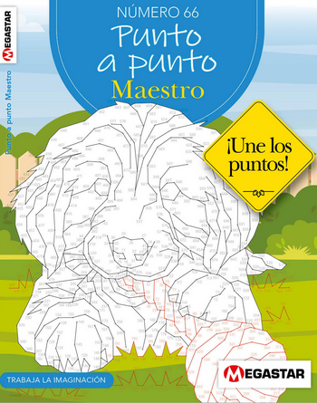 Punto a Punto Maestro 66