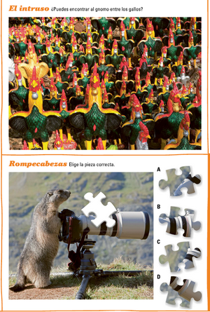 Colección Descifra el Enigma - IMÁGENES