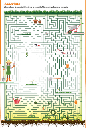 Colección Descifra el Enigma - IMÁGENES