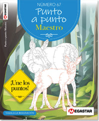 Punto a Punto Maestro 67