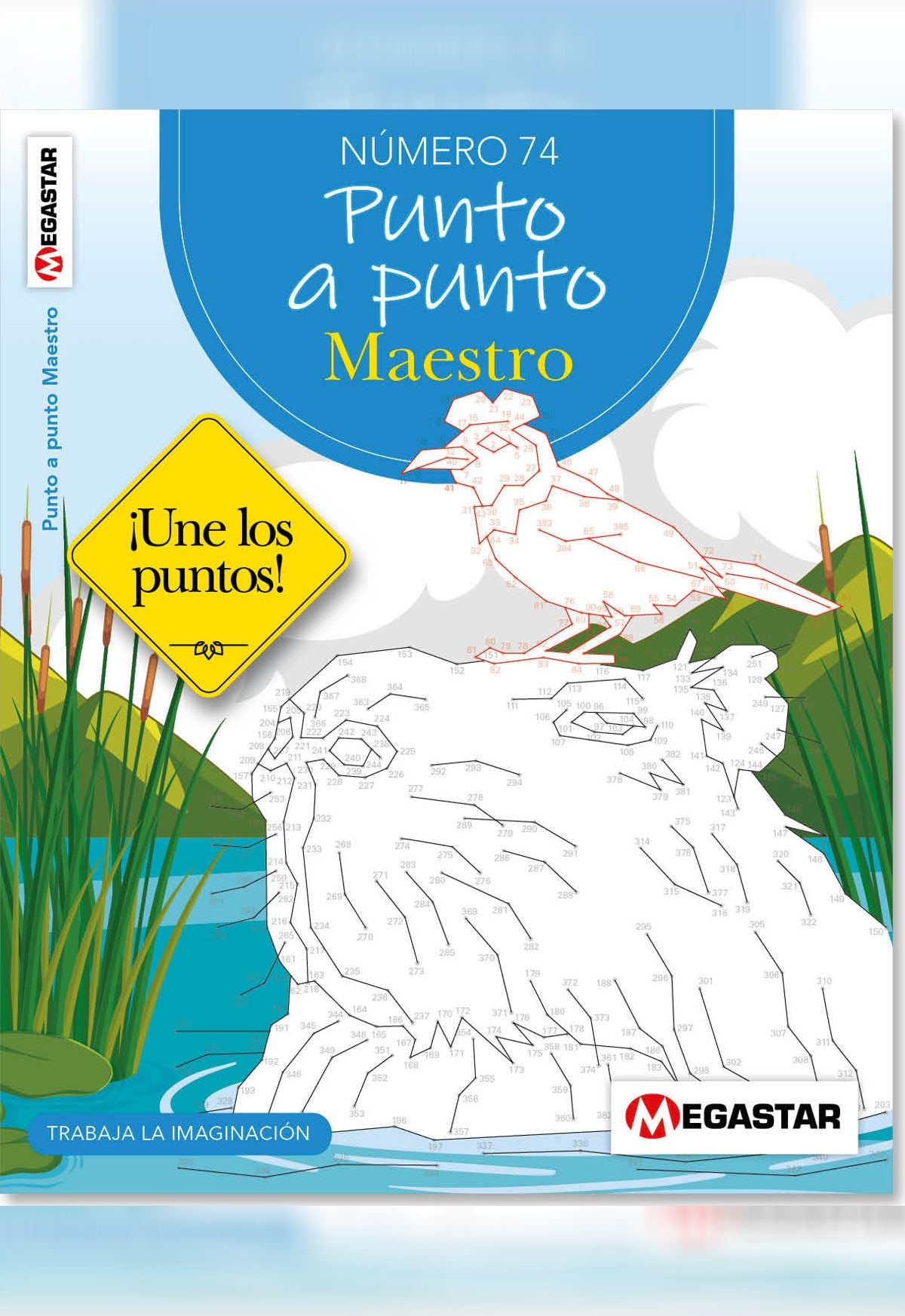 Punto a Punto Maestro 74